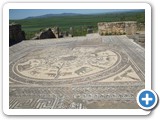 6 Volubilis Mosaico epoca romana