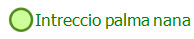 Intreccio palma nana