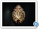 17  Coralli al museo Pepoli