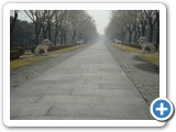 5 Via sacra verso tombe Ming