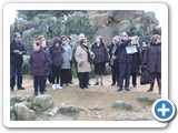 8_2_2014 gita ad Agrigento (8)