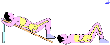 ginnastica1