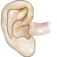 orecchio1